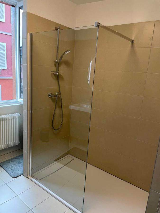 Appartement Le Fil D'Or 科尔马 外观 照片