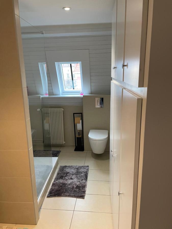 Appartement Le Fil D'Or 科尔马 外观 照片