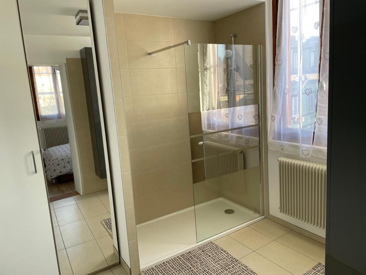 Appartement Le Fil D'Or 科尔马 外观 照片